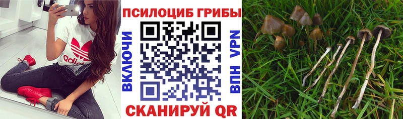 Галлюциногенные грибы мицелий  Иркутск 