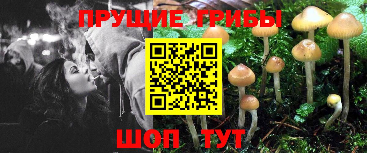 Иркутск  Галлюциногенные грибы прущие грибы  Псилоцибиновые грибы ЛСД  Вход с VPN 